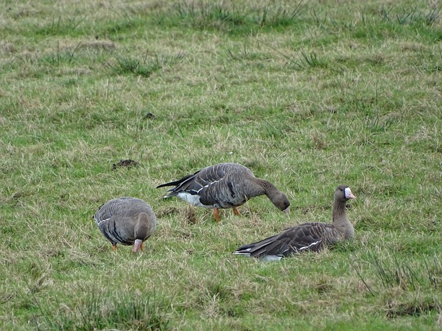 让对方陷入 让对方陷入
