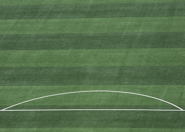 常常成为不 常常成为不