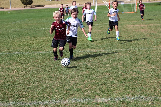 的高度重视 的高度重视