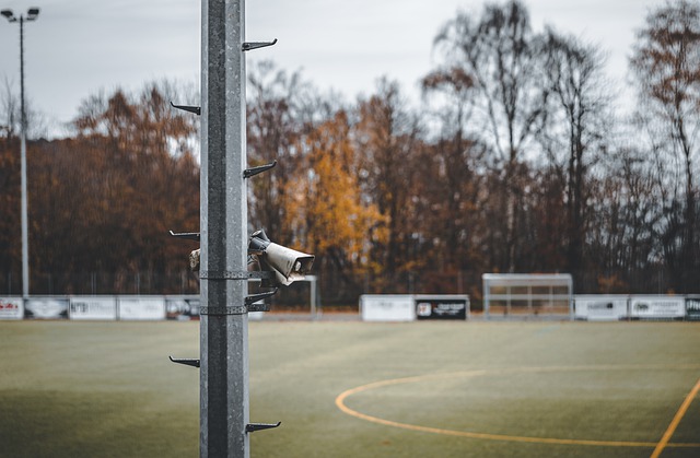 增添了更多 增添了更多