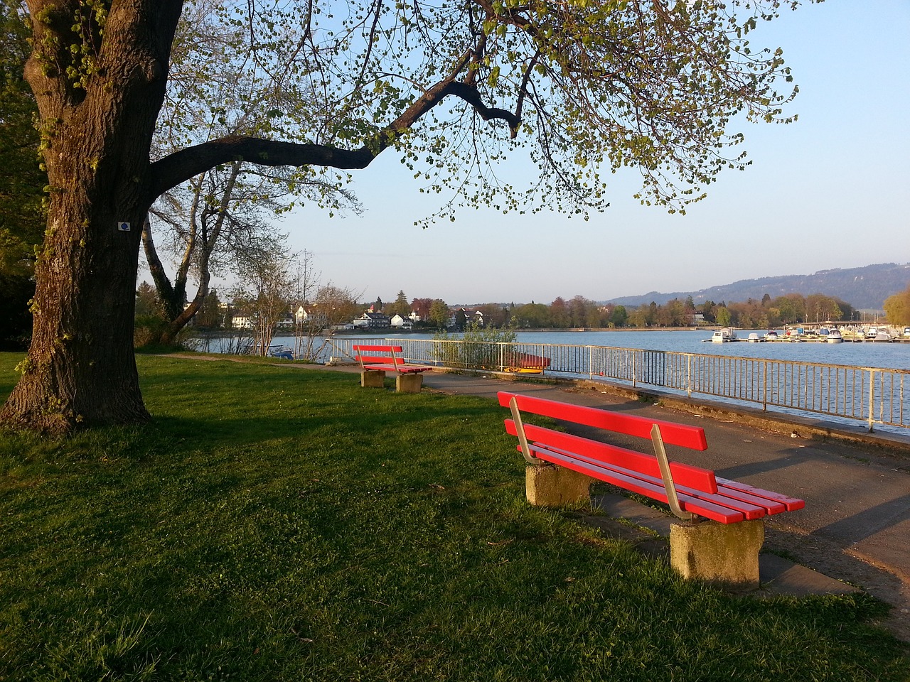 号位的魅力 号位的魅力