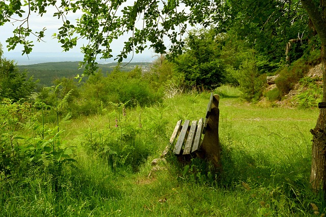 个人表现 个人表现