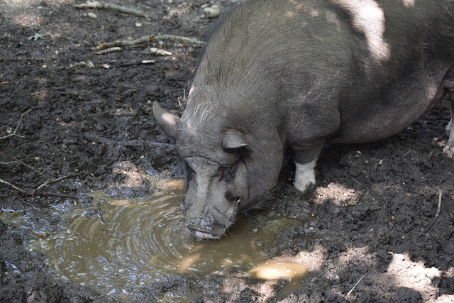 浙江稠州金 浙江稠州金