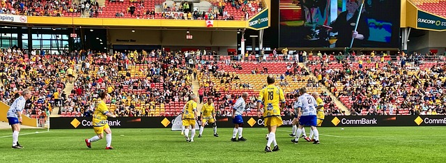 迷和媒體的 迷和媒體的