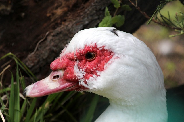 顾名思义 顾名思义