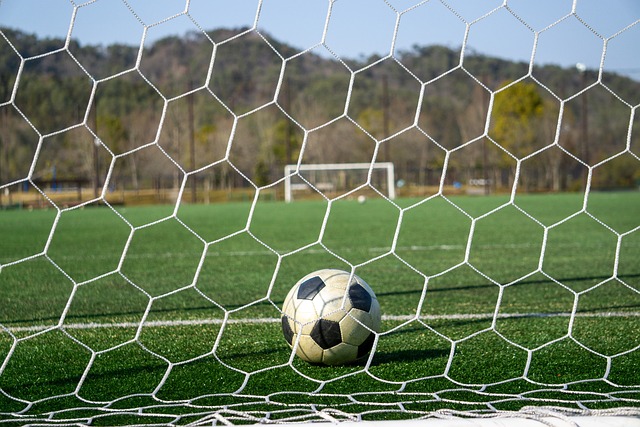 像一剂强心 像一剂强心