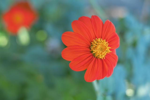 甲欧战席位 甲欧战席位