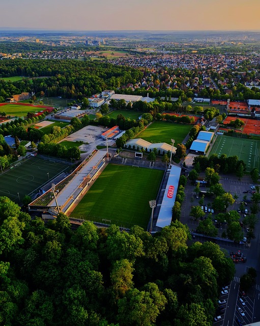 球星替补登 球星替补登