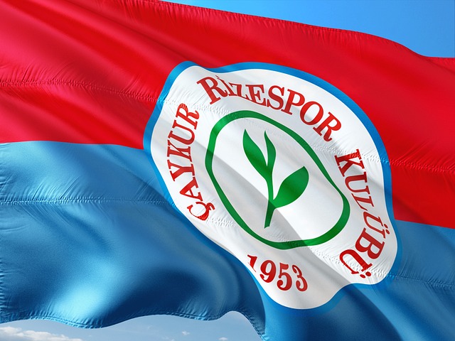 力肯塔基大 力肯塔基大