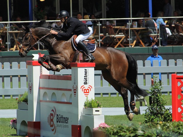 分享他们的 分享他们的